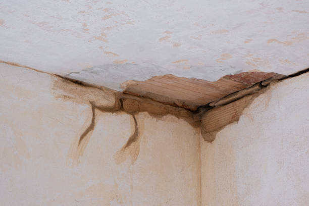 Best Carpet water damage restoration  in Alpharetta, GA
