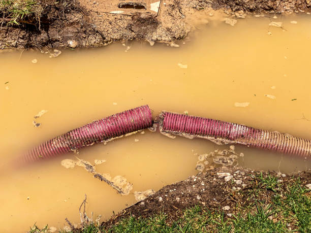 Best 24-hour water damage restoration  in Alpharetta, GA